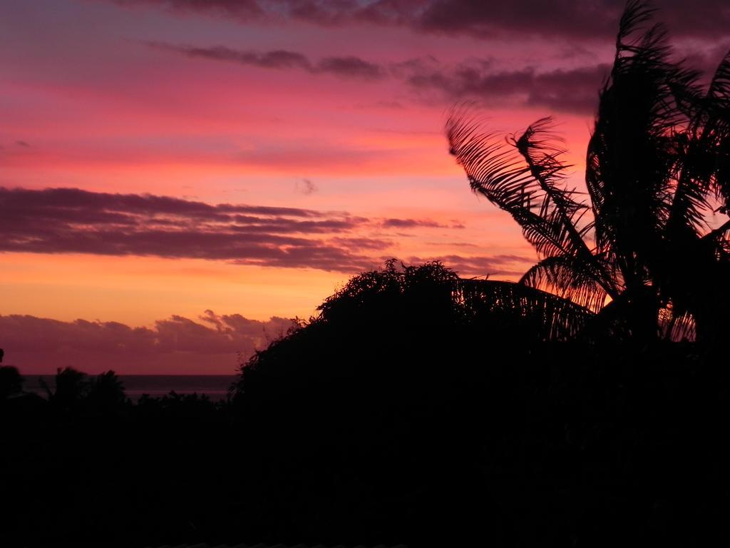 Fare Arana Moorea Guesthouse Atiha エクステリア 写真