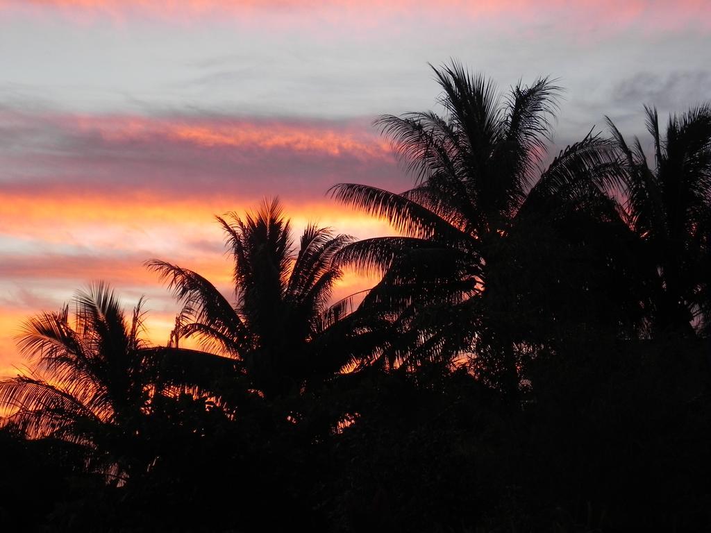 Fare Arana Moorea Guesthouse Atiha エクステリア 写真